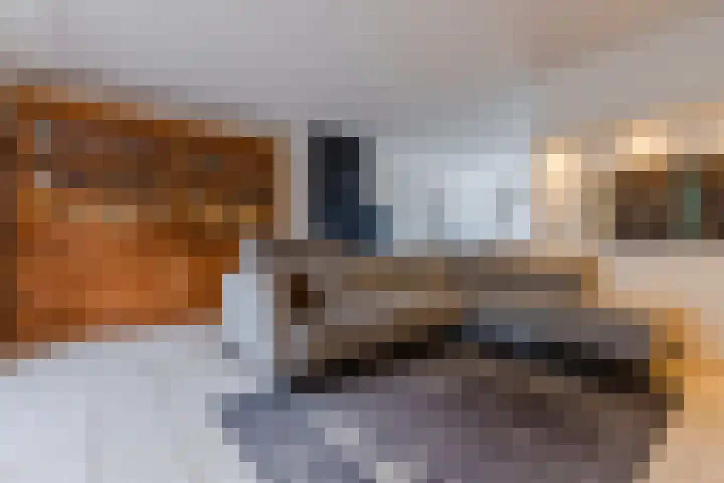 Hoogmeer 2301 Wijchen thumbnail 14