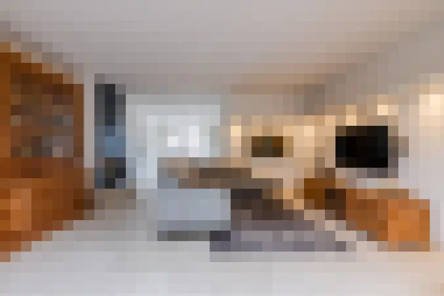 Hoogmeer 2301 Wijchen thumbnail 15