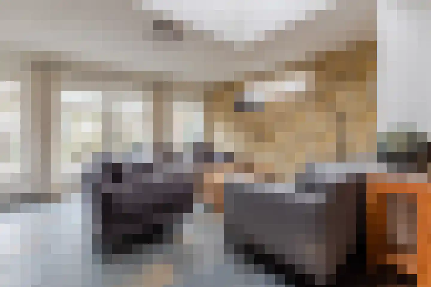 Hoogmeer 2301 Wijchen thumbnail 18