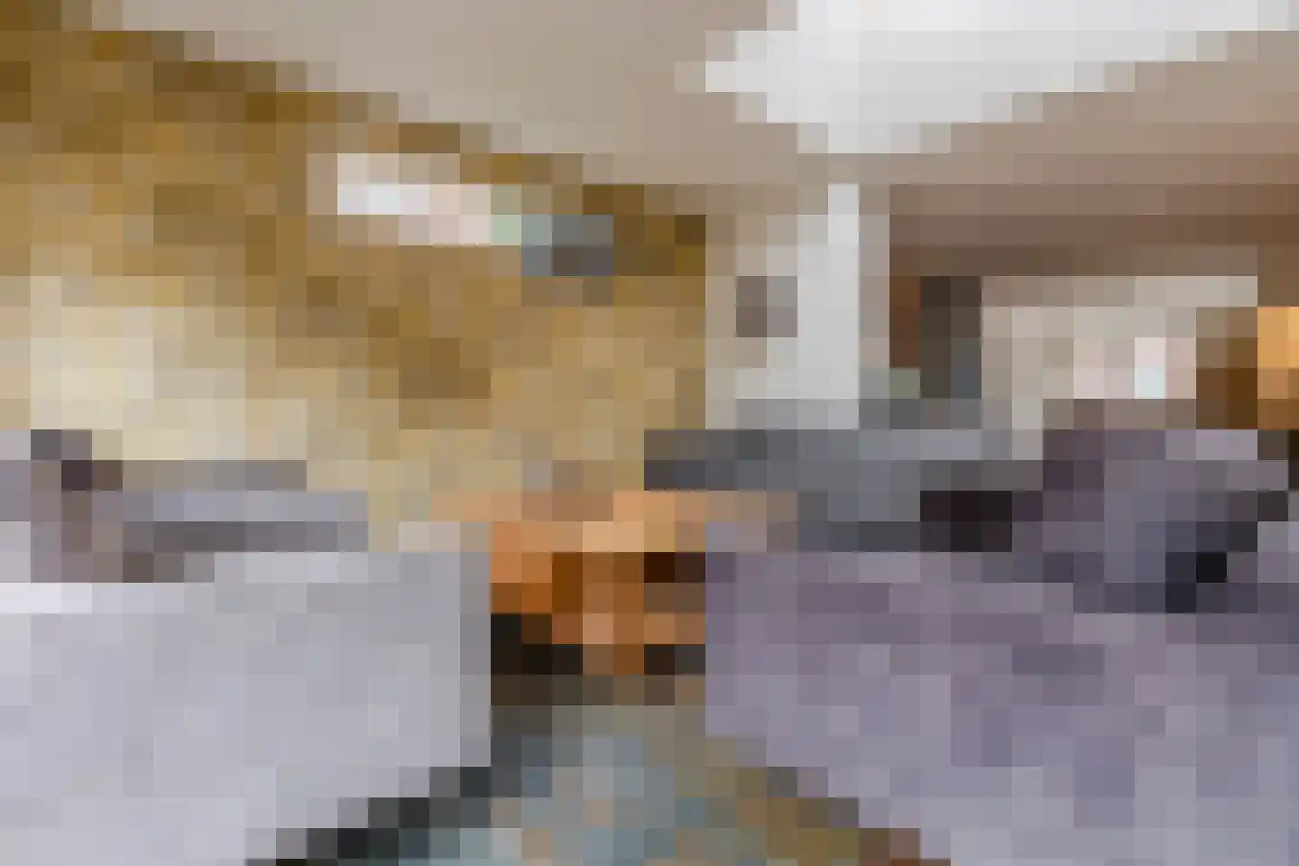 Hoogmeer 2301 Wijchen thumbnail 20