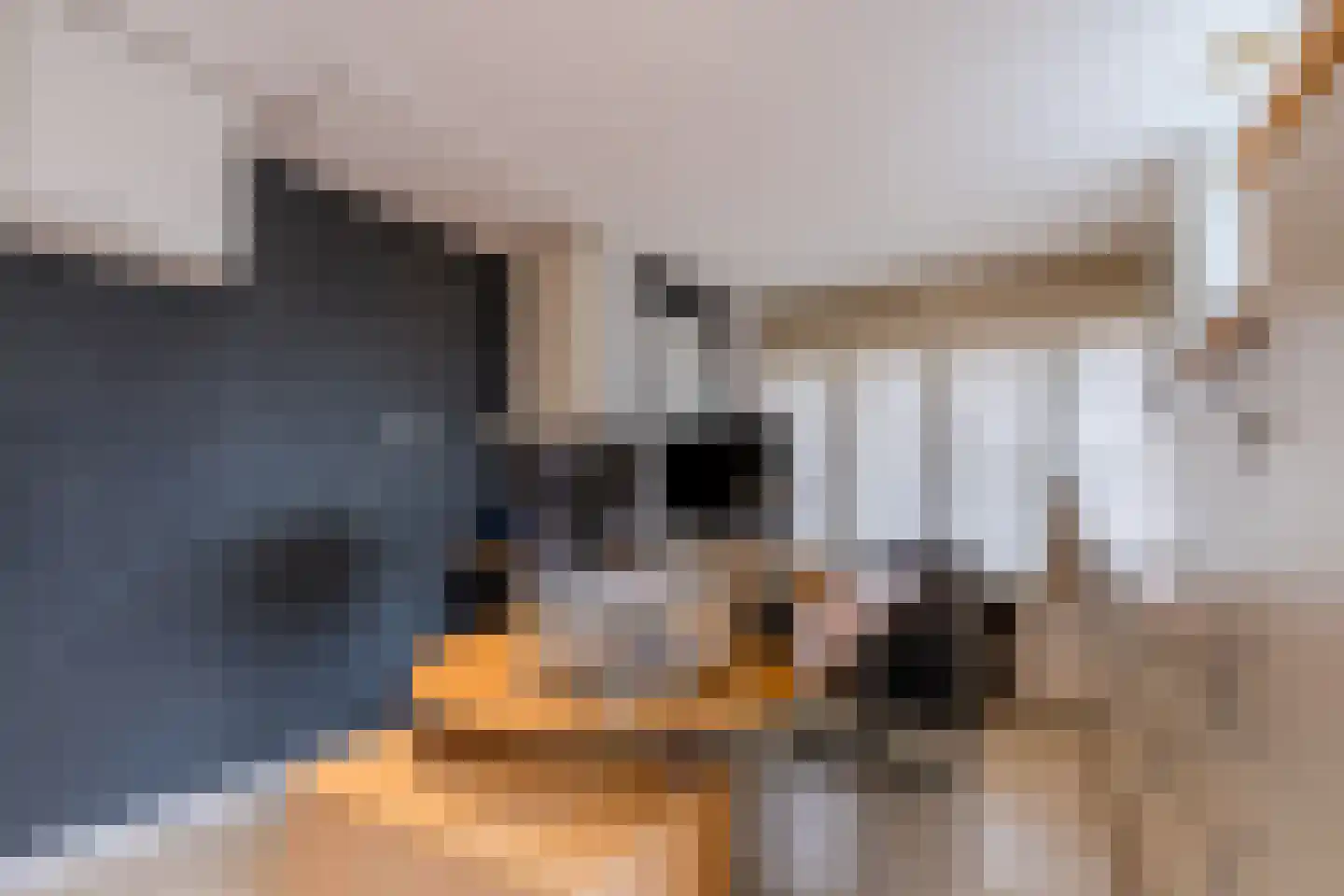 Hoogmeer 2301 Wijchen thumbnail 26