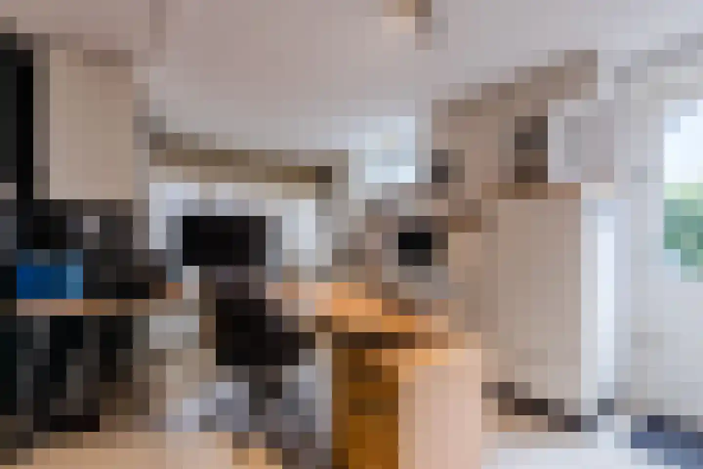 Hoogmeer 2301 Wijchen thumbnail 27