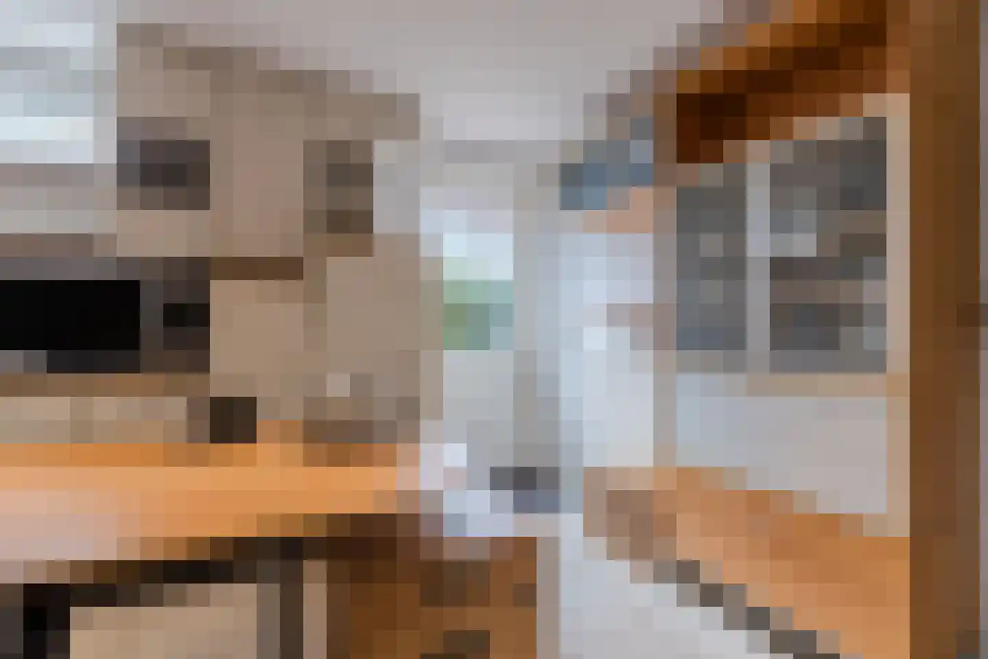 Hoogmeer 2301 Wijchen thumbnail 28