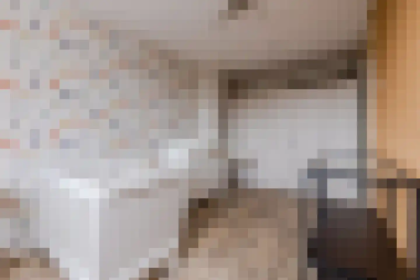Hoogmeer 2301 Wijchen thumbnail 35