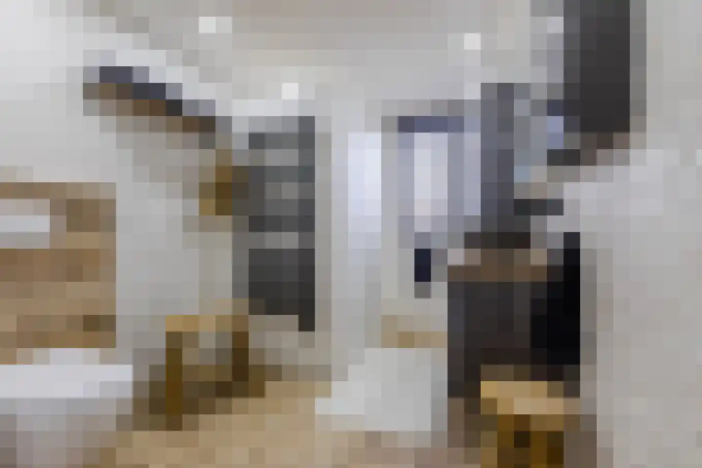 Hoogmeer 2301 Wijchen thumbnail 37