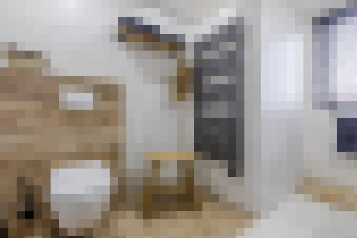 Hoogmeer 2301 Wijchen thumbnail 42