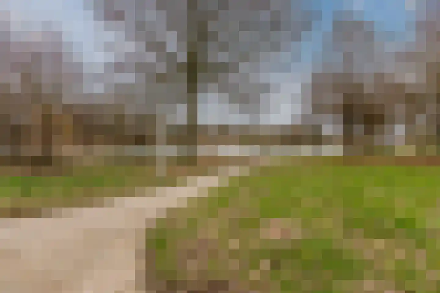 Hoogmeer 2301 Wijchen thumbnail 5
