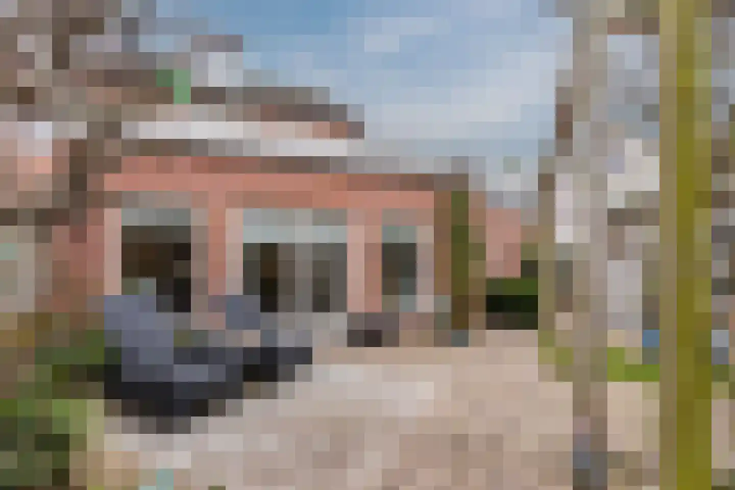 Hoogmeer 2301 Wijchen thumbnail 52