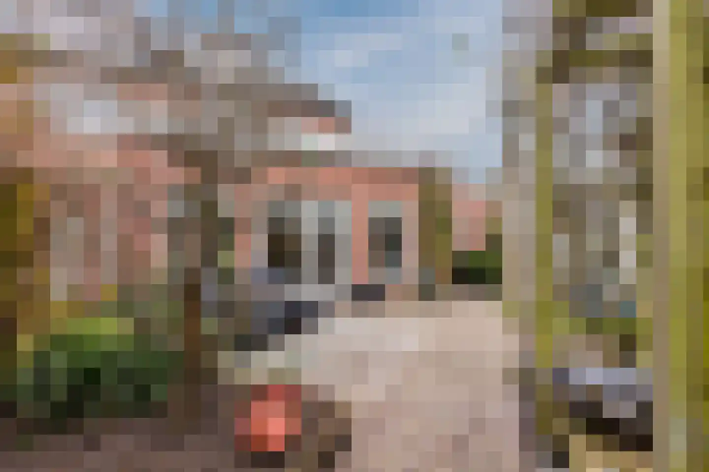 Hoogmeer 2301 Wijchen thumbnail 53
