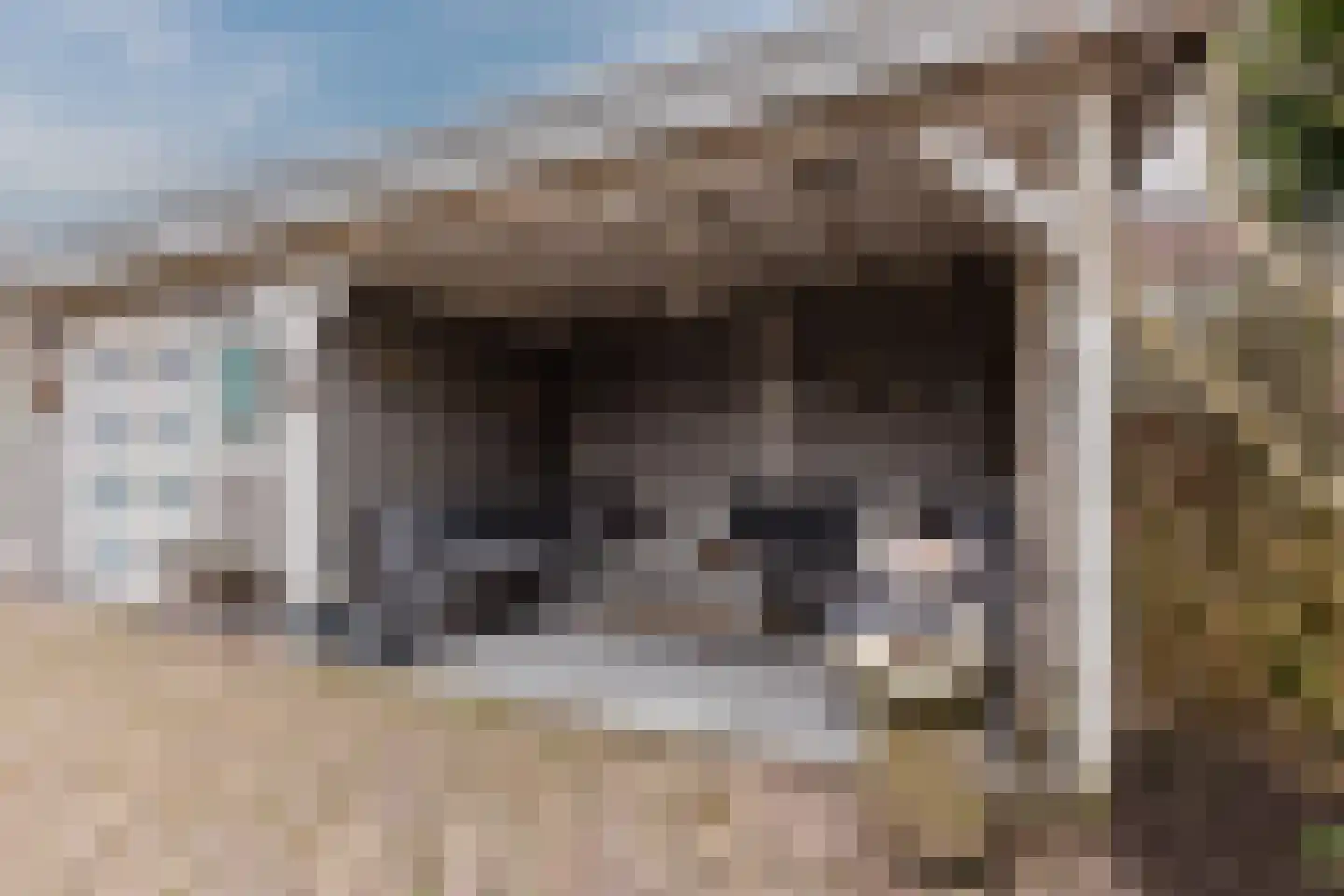 Hoogmeer 2301 Wijchen thumbnail 55