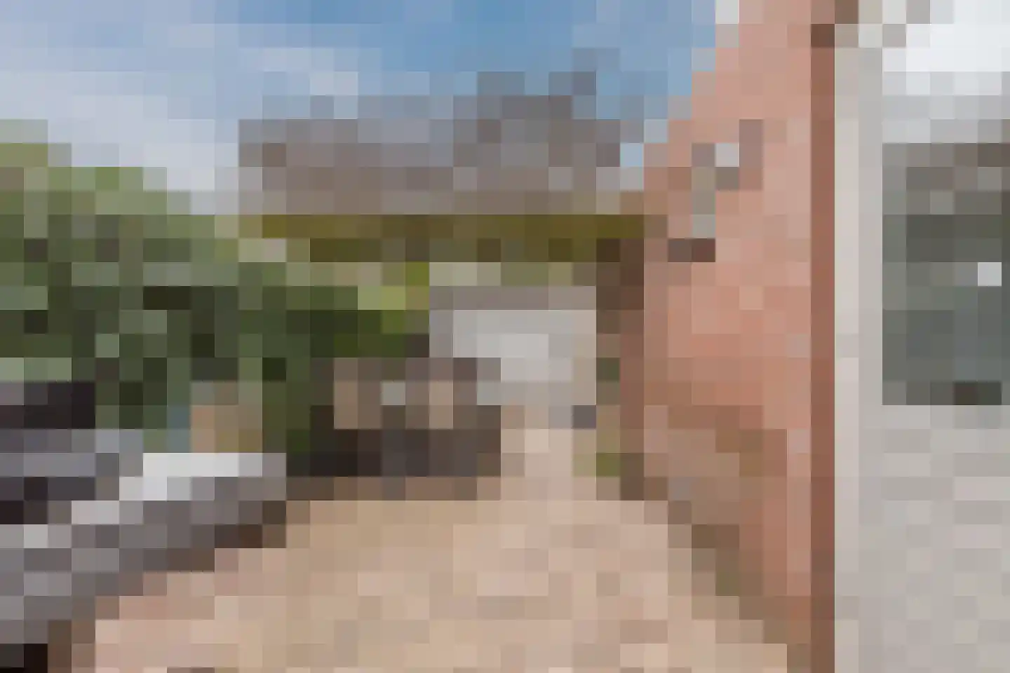 Hoogmeer 2301 Wijchen thumbnail 58