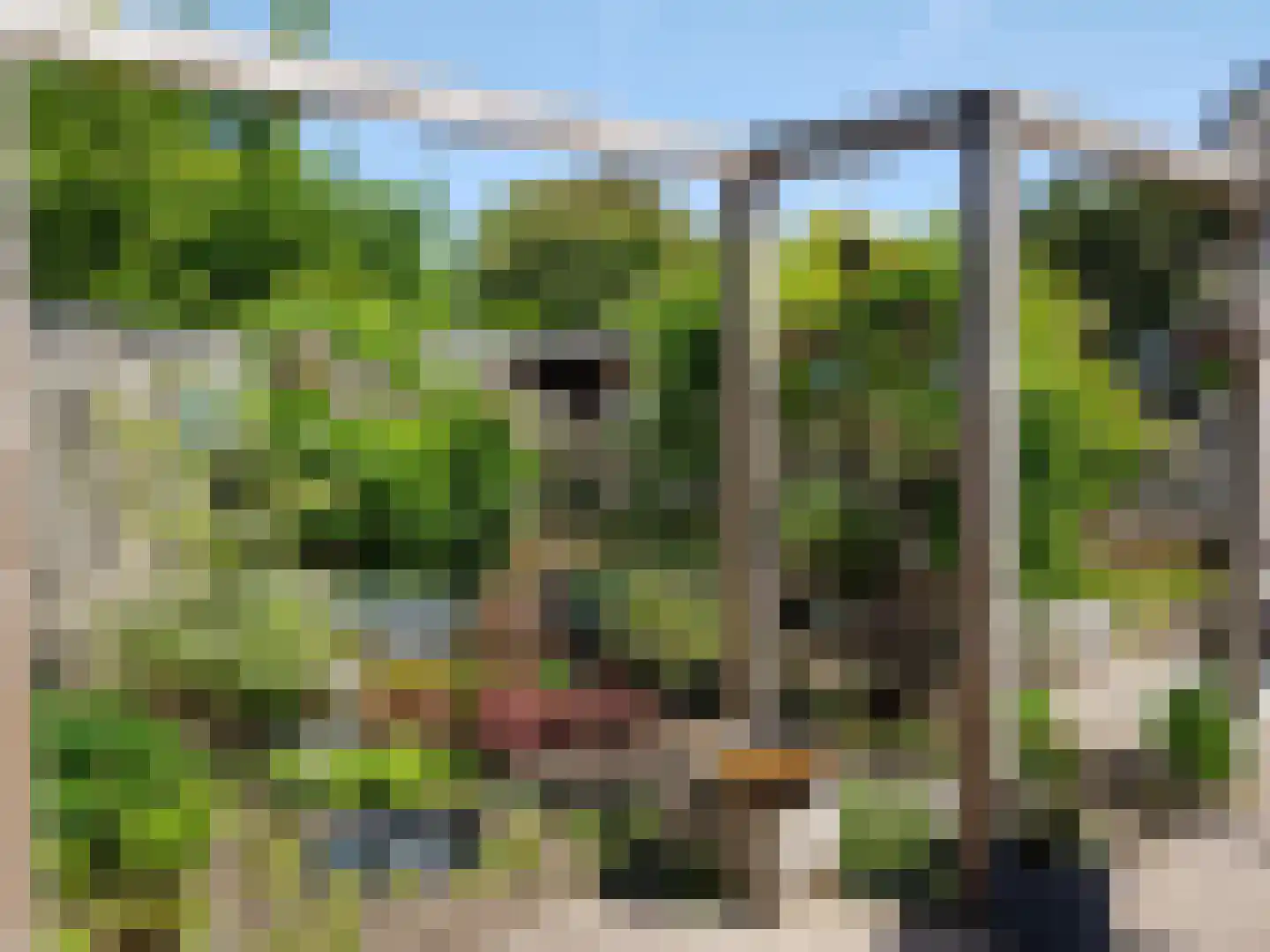 Hoogmeer 2301 Wijchen thumbnail 63