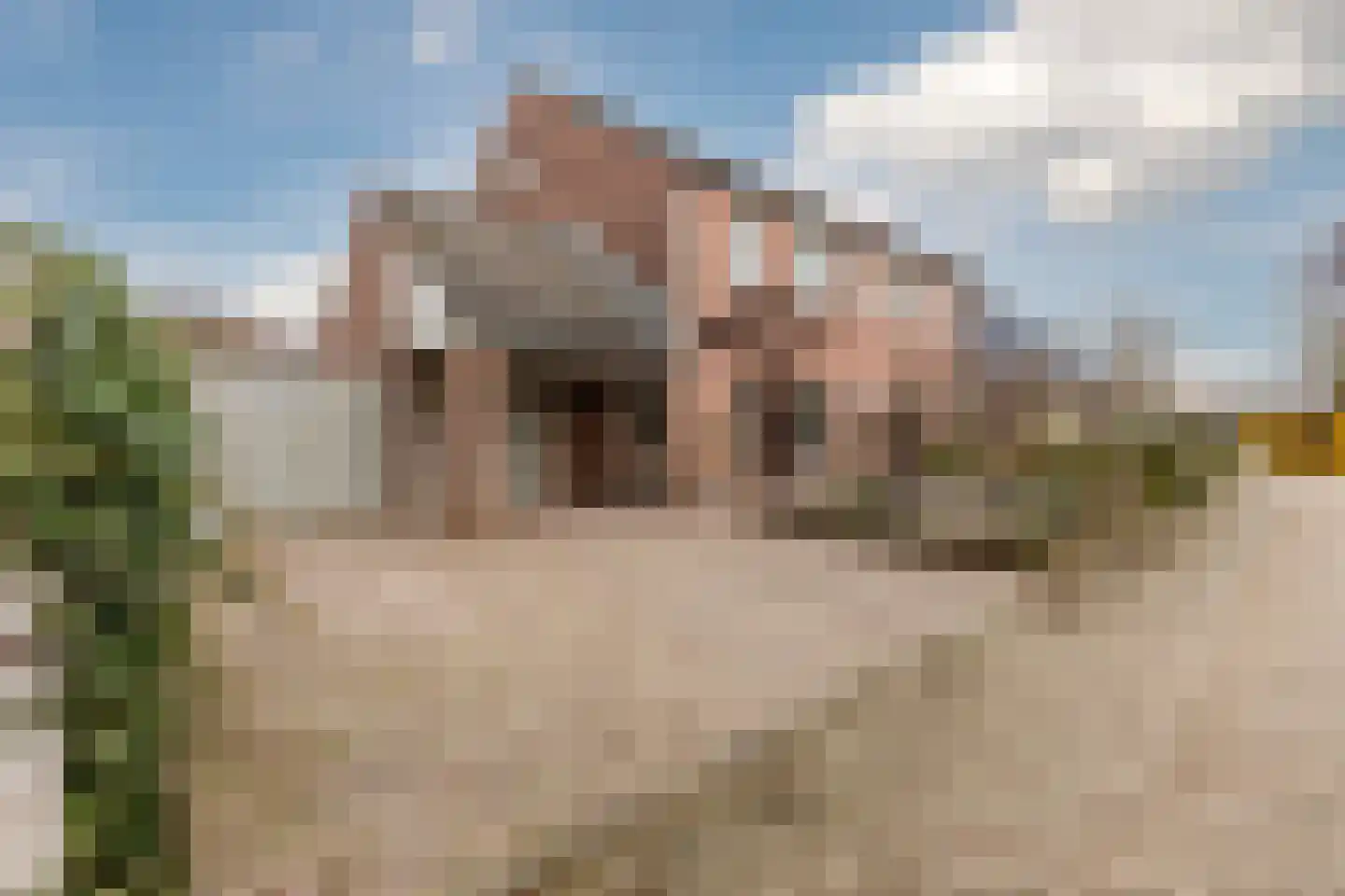 Hoogmeer 2301 Wijchen thumbnail 7