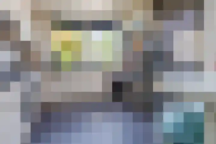 Hoogmeer 2439 Wijchen thumbnail 11