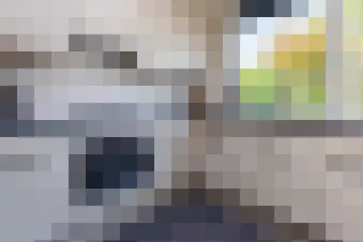 Hoogmeer 2439 Wijchen thumbnail 12