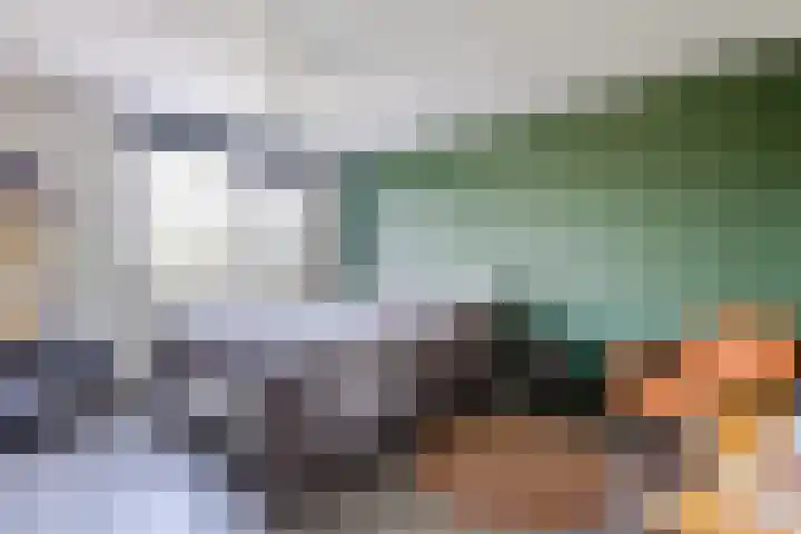 Hoogmeer 2439 Wijchen thumbnail 13