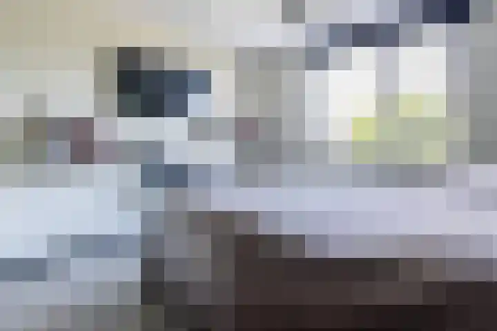 Hoogmeer 2439 Wijchen thumbnail 14