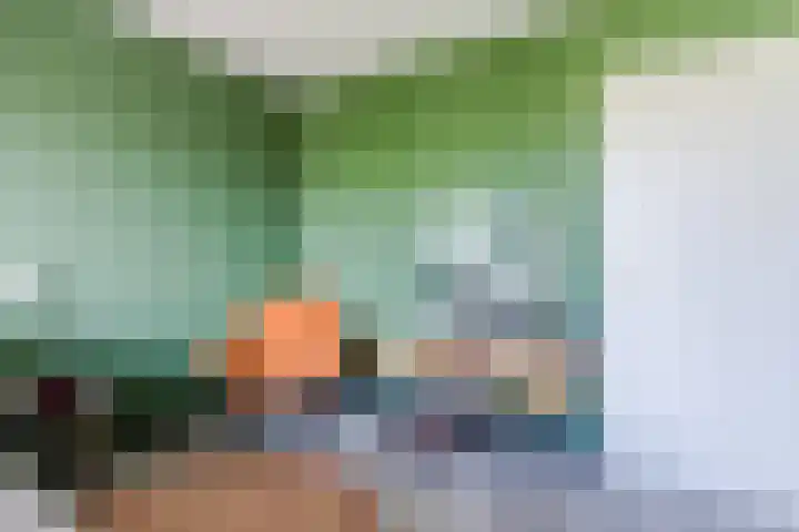 Hoogmeer 2439 Wijchen thumbnail 15