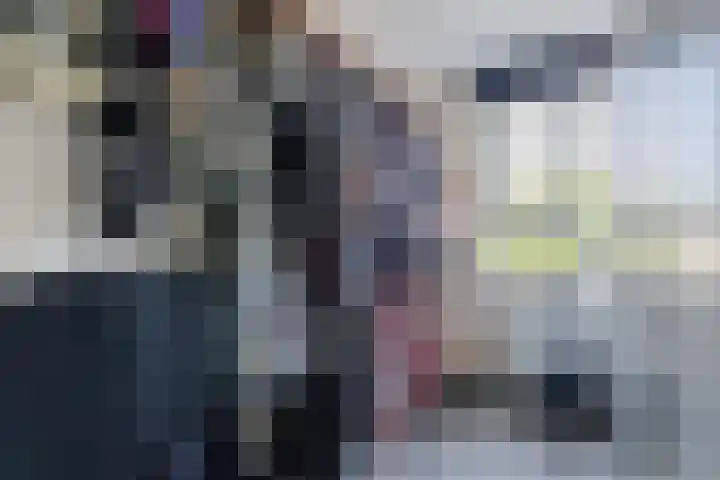 Hoogmeer 2439 Wijchen thumbnail 18