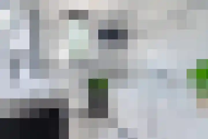 Hoogmeer 2439 Wijchen thumbnail 19