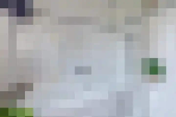 Hoogmeer 2439 Wijchen thumbnail 20