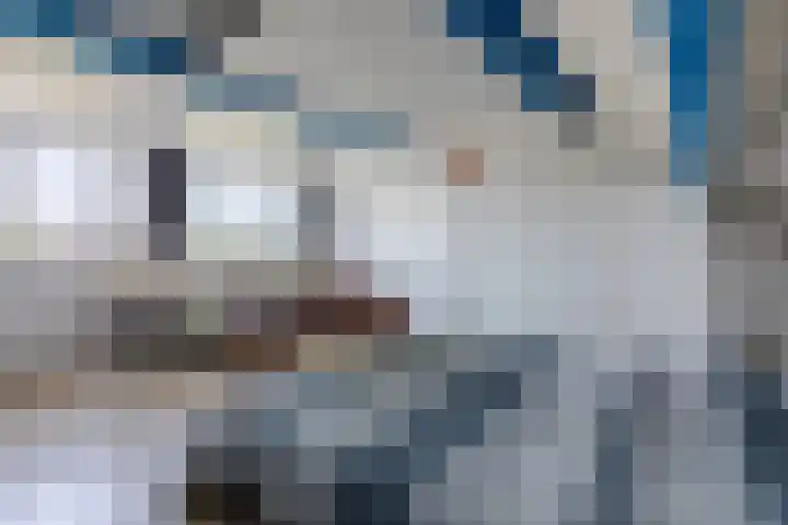 Hoogmeer 2439 Wijchen thumbnail 23