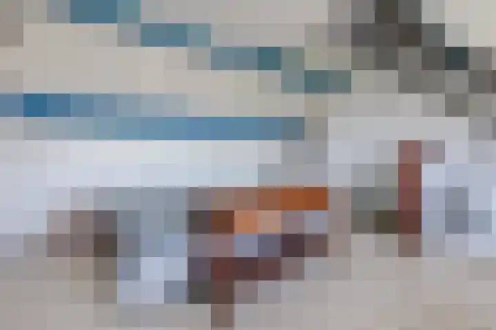 Hoogmeer 2439 Wijchen thumbnail 24