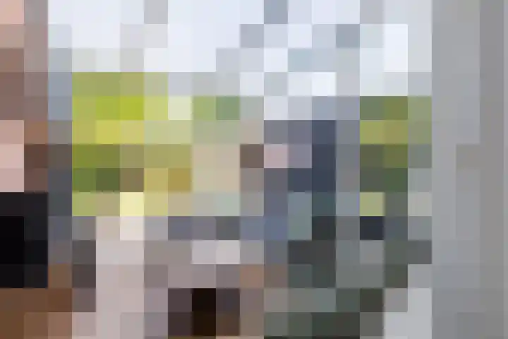 Hoogmeer 2439 Wijchen thumbnail 26