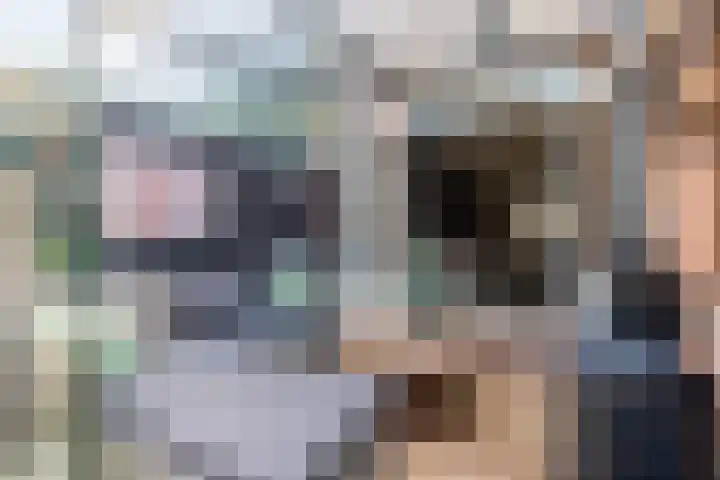 Hoogmeer 2439 Wijchen thumbnail 27