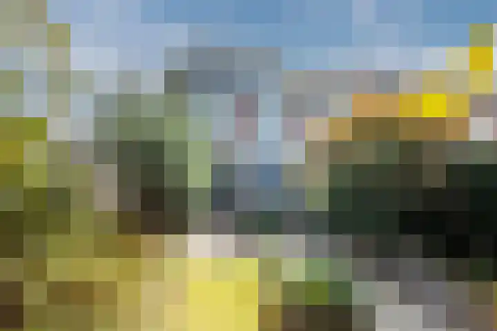 Hoogmeer 2439 Wijchen thumbnail 31
