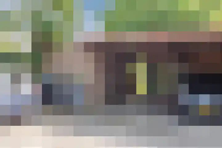 Hoogmeer 2439 Wijchen thumbnail 32