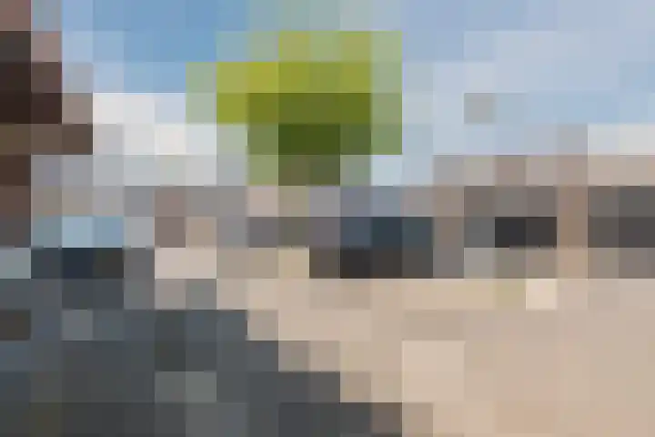 Hoogmeer 2439 Wijchen thumbnail 33