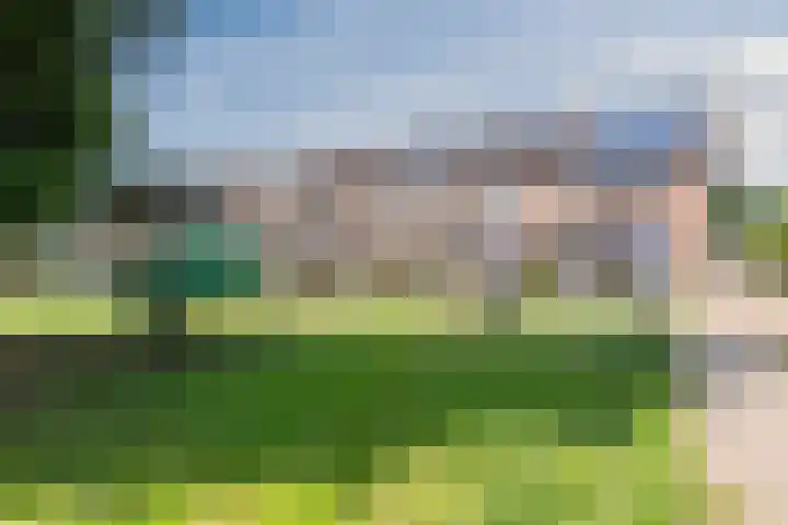 Hoogmeer 2439 Wijchen thumbnail 34