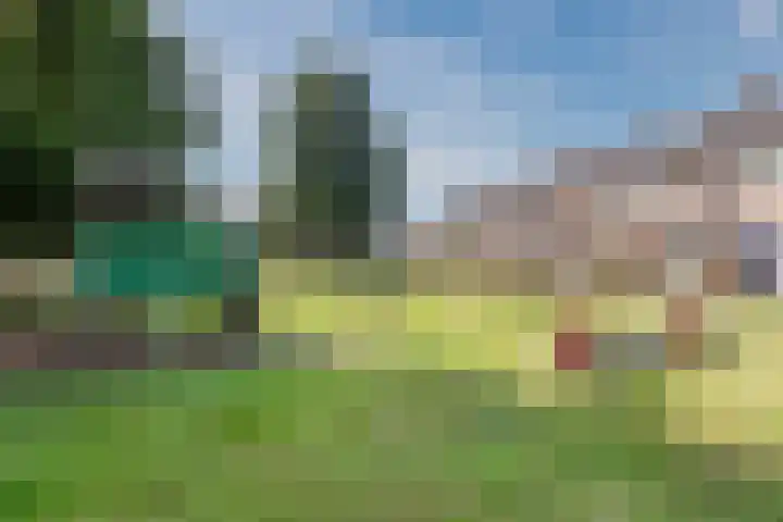 Hoogmeer 2439 Wijchen thumbnail 35