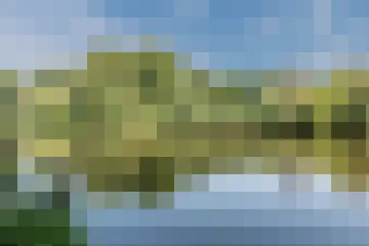 Hoogmeer 2439 Wijchen thumbnail 36