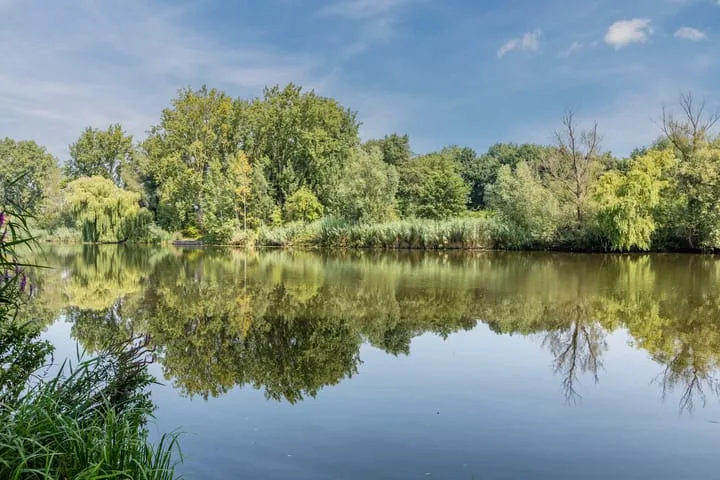 Hoogmeer 2439 Wijchen thumbnail 36
