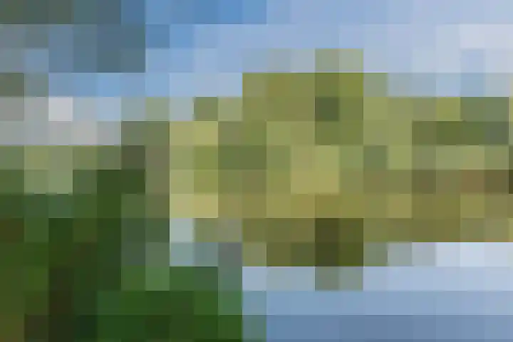 Hoogmeer 2439 Wijchen thumbnail 37