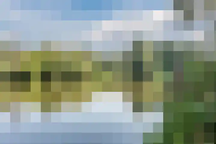 Hoogmeer 2439 Wijchen thumbnail 38