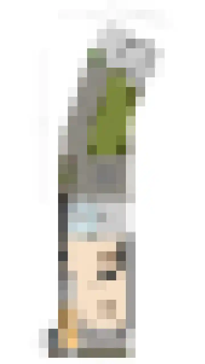 Hoogmeer 2439 Wijchen thumbnail 39
