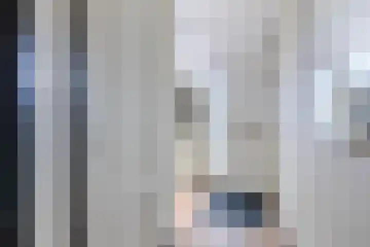 Hoogmeer 2439 Wijchen thumbnail 4