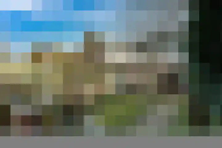 Hoogmeer 2509 Wijchen thumbnail 10