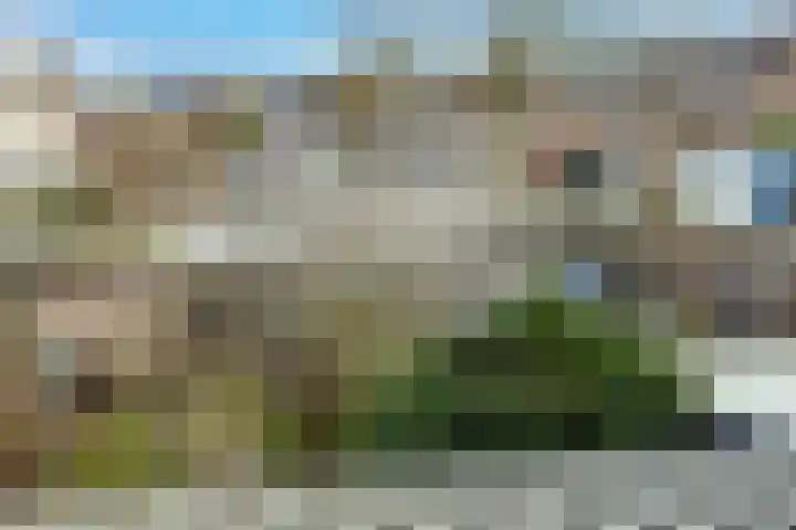 Hoogmeer 2509 Wijchen thumbnail 16