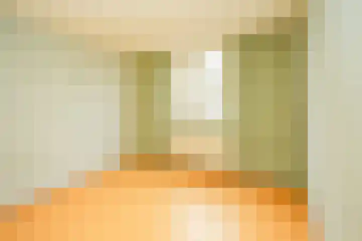 Hoogmeer 2509 Wijchen thumbnail 19
