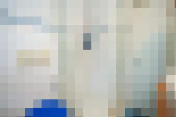 Hoogmeer 2509 Wijchen thumbnail 23