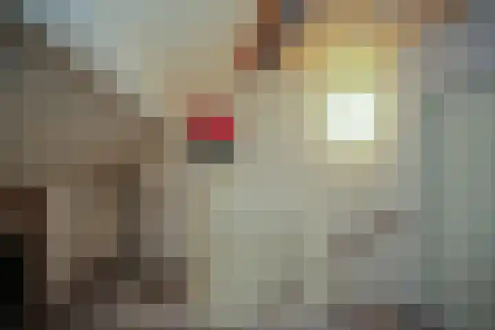Hoogmeer 2509 Wijchen thumbnail 25