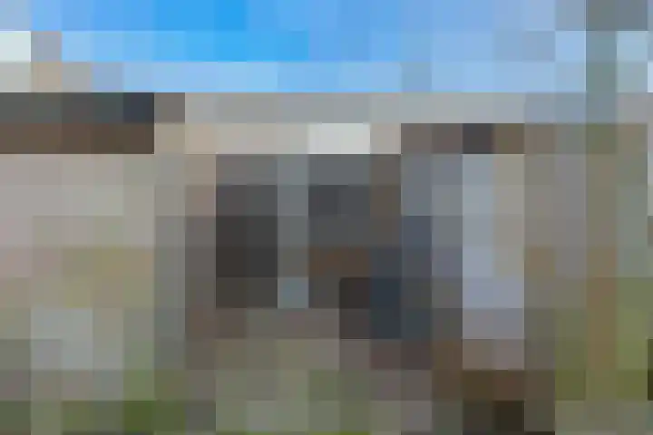Hoogmeer 2509 Wijchen thumbnail 26