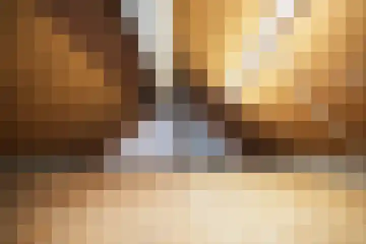 Hoogmeer 2509 Wijchen thumbnail 28