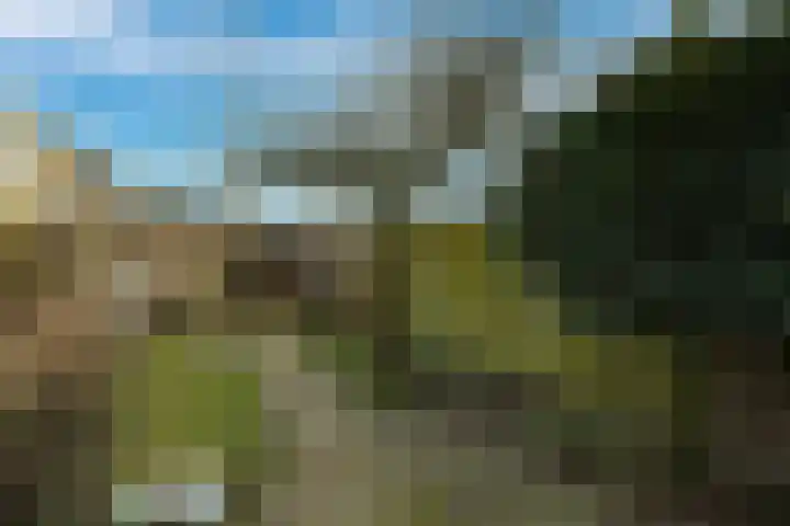 Hoogmeer 2509 Wijchen thumbnail 9