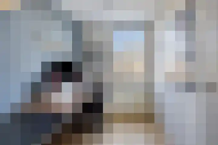 Hoogmeer 2603 Wijchen thumbnail 13