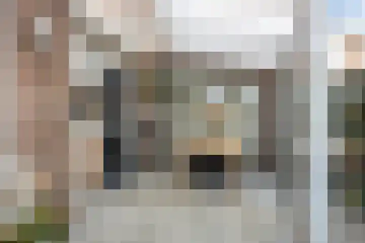 Hoogmeer 2603 Wijchen thumbnail 20